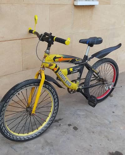 Classic bicycle 22 size