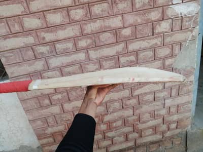 Professional leather bat