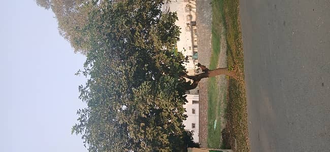 K block King Plot Number 1 Corner 2Kanal