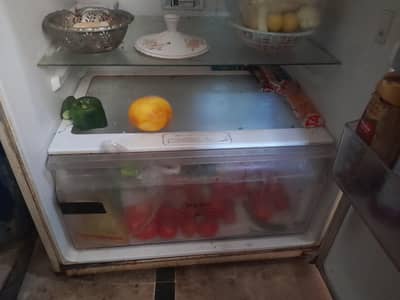 Samsung Large size Refrigerator. (No frost)