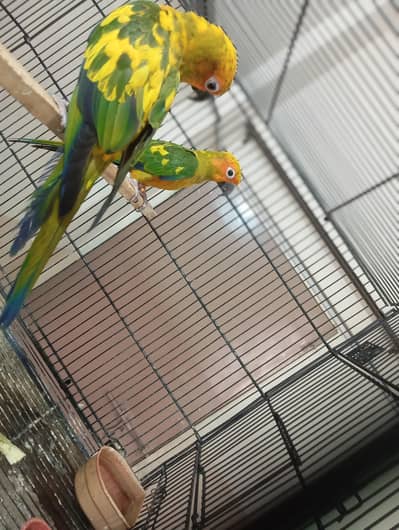 sab khatam kar raha hu