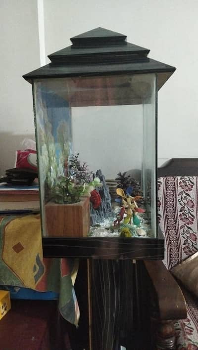 Medium Fish Aquarium with Beautiful Table