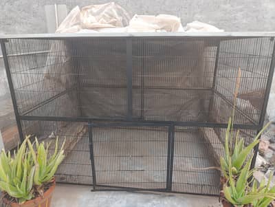 Birds Cage