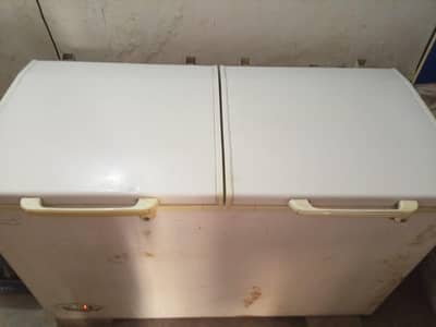 waves D  freezer double door