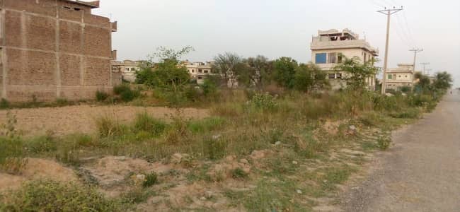 Plot For Sale 5 Marla
