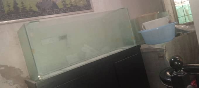 Brand new 12mm 5 foot aquarium for sale
