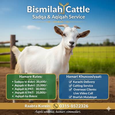 Sadqay aur Akikay ke Bakre Dastiyab – Sehatmand aur Baray -  Goat