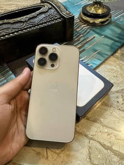 13 Pro Max 256GB Factory Unlocked 