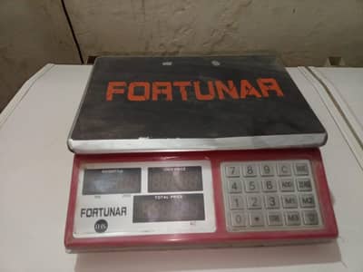 fortunar computer weight