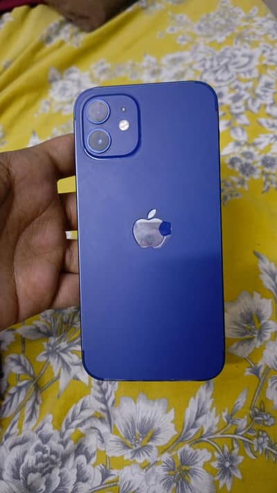 iPhones 12 PTA Approved