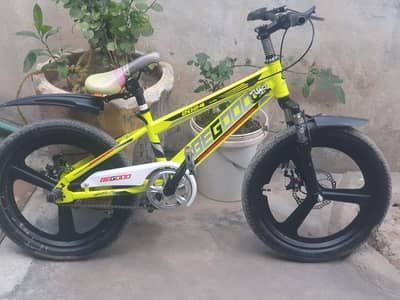 just tow months used cycles