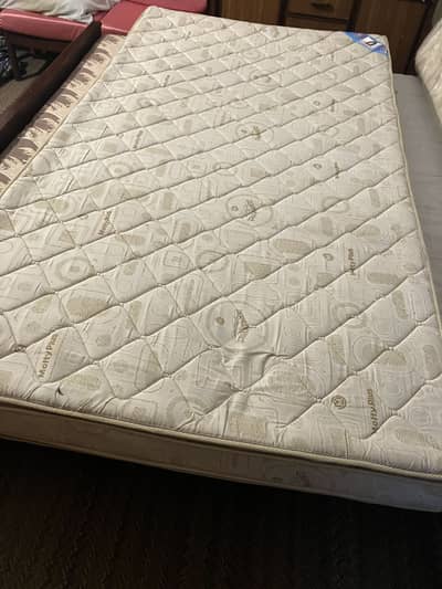 Single Bed  Mattresses, brand Master Molty Foam