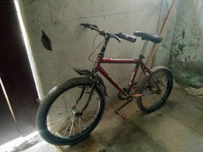 cycle for sale