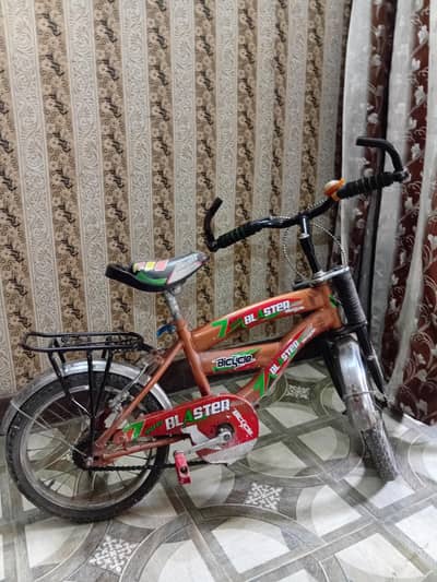 Mountain Bike Almost New