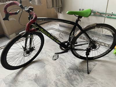 Dolphin River Race Bicycle