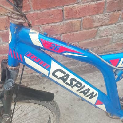cycle for sale