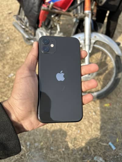 iPhone 11