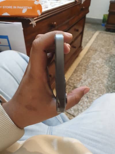 12 pro max Factory Unlock