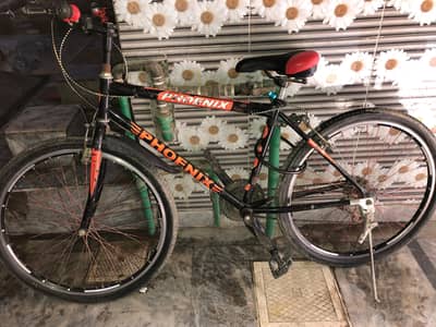 phoenixe bicycle condition 10/10 with gear  4 month used