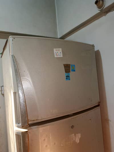 Dawlance Signature Single Door Fridge for Sale