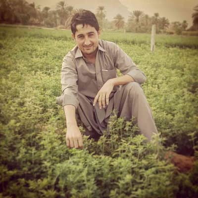 Zahid ullah