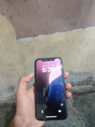 I phone 11 pta approved