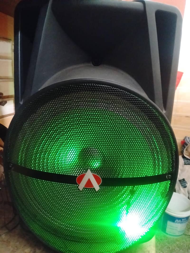 audionic 15 inch Speaker 1