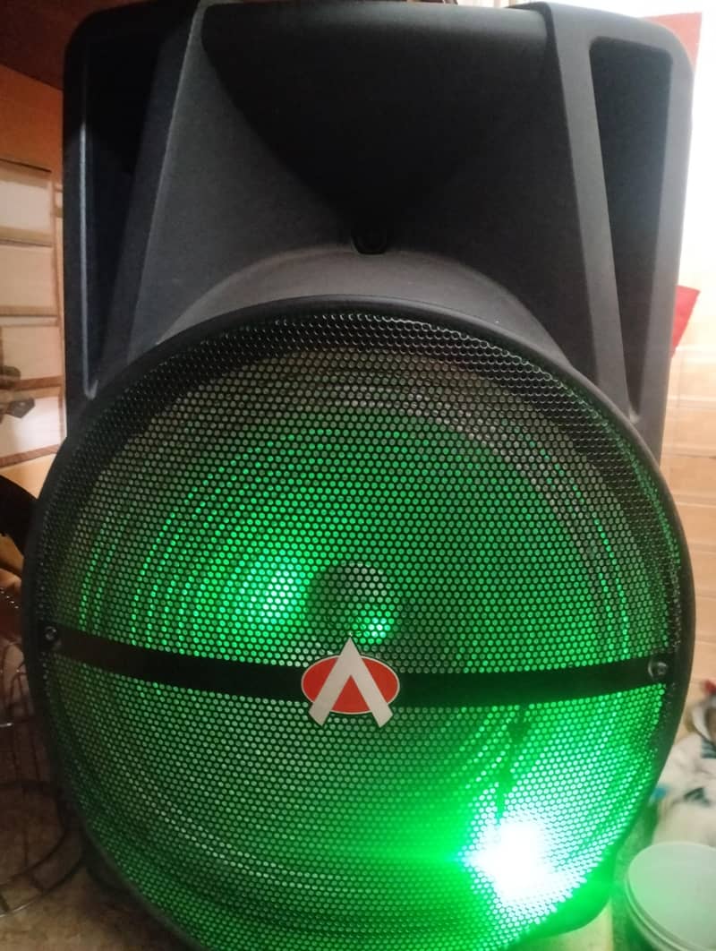 audionic 15 inch Speaker 2