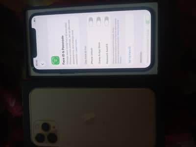 iphone 11pro 256gb waterpack pta approve