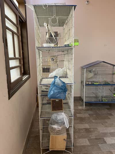 4 step good condition cage