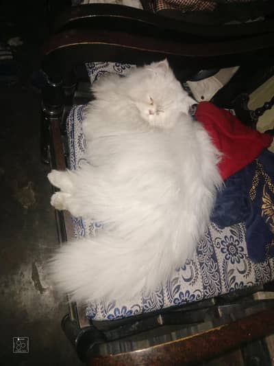 Cash on delivery in lahore