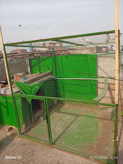 cage for sale 6×6 iron cage