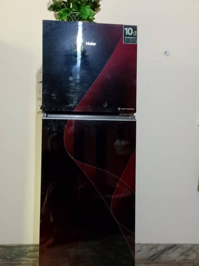Haier refrigerator