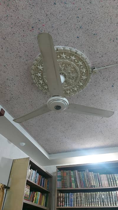 ceiling fans for sale. . . .