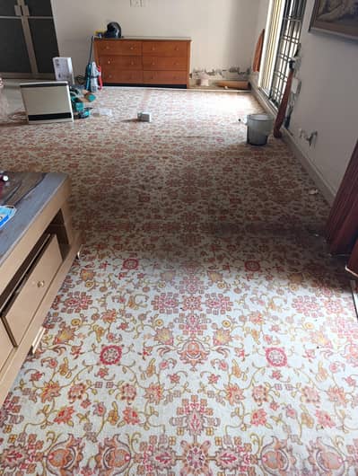 Printed Carpet Beautiful Design