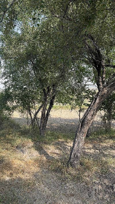 Farm House Land For Sale