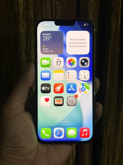 iPhone 13 Pro Max 256 GB