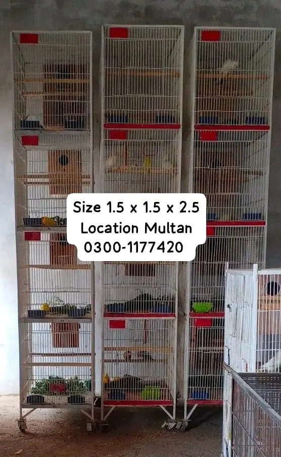 14000 per cage final