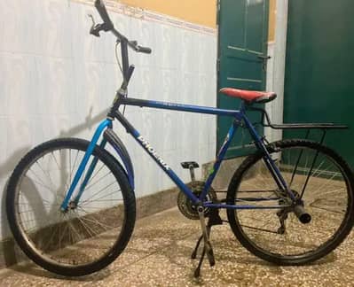 phoenix cycle for sale fonex phonex