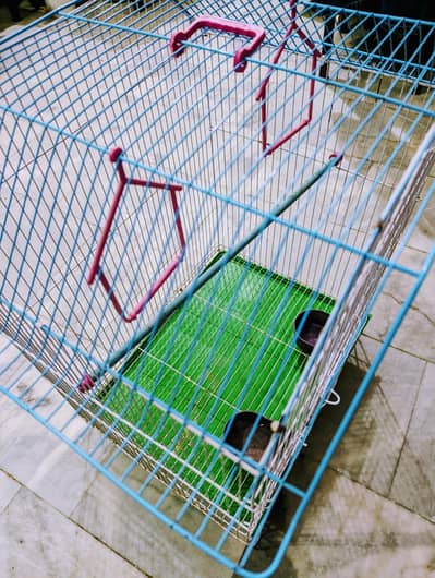 Birds Cage