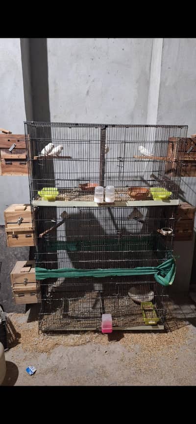 Birds Cages Single Portion + Tower Double portion withpartation