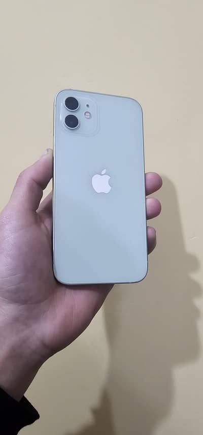 IPHONE 12 (Exchange Possible)