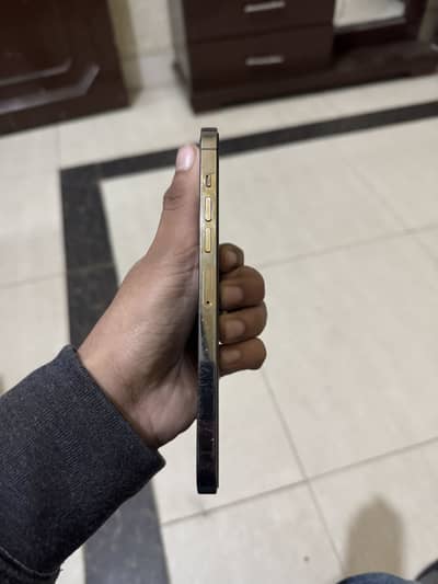 13 pro max pta proved