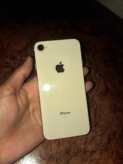 iphone 8 non pta lush 60fps pubg spotted.