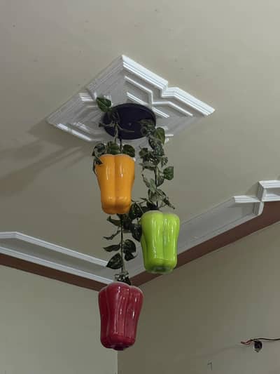 Capsicum Lights for Kitchen