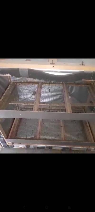 3 incubator 03333303314