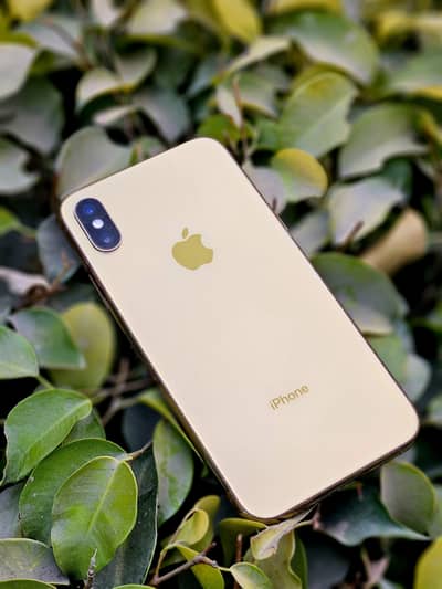 Apple Iphone Xs 256 Duel PTA Proved Excellent Condition Sale & Exchang