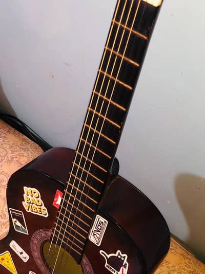 Classical Acoustic Guitar For Beginner