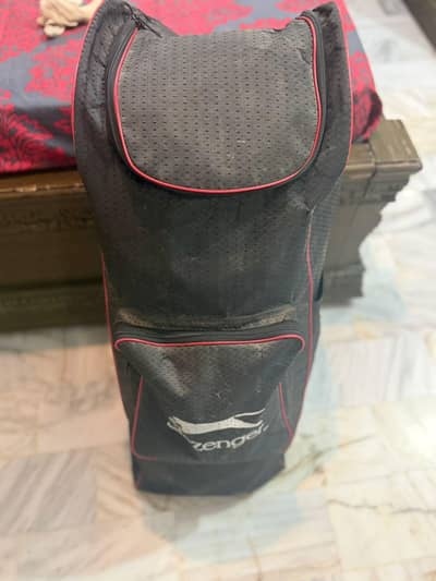 Hard ball cricket kit