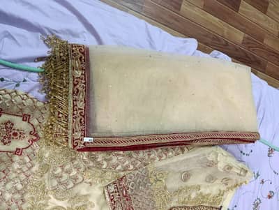 Shaposh Branded Suit